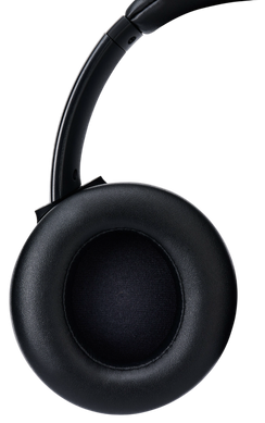 Гарнітура Panasonic (RB-M600BG-K) [201625]