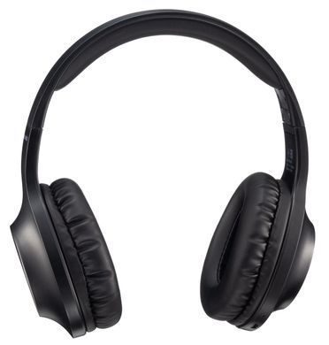 Гарнітура Panasonic RB-HX220BEE-K (RB-HX220BEEK) [201192]