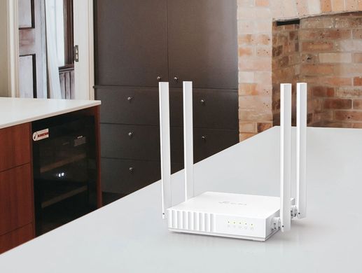Бездротовий маршрутизатор TP-Link (Archer C24) [201016]