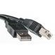 Кабель PowerPlant USB2.0(AM)-USB2.0(BM), 5м, Black, one ferrite (KD00AS1227) [603621], фото 2