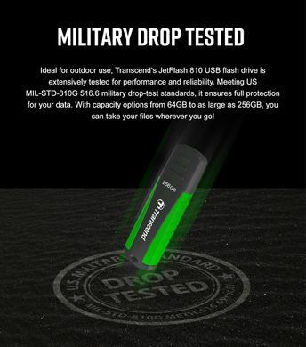 Накопичувач Transcend 64GB USB 3.1 Type-A JetFlash 810 Rugged (TS64GJF810) [108961]