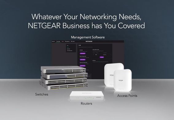 Комутатор NETGEAR GS348 48xGE, Некерований (GS348-100EUS) [105101]