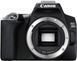 Цифрова дзеркальна фотокамера Canon EOS 250D kit 18-55 DC III Black (3454C009AA) [202214], фото 5