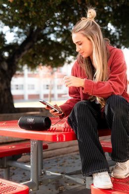 Портативна акустика JBL Charge 6 Black (JBLCHARGE6BLK) [201543]
