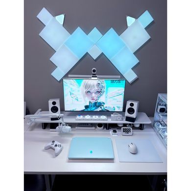 Ноутбук Thunderobot RS16 (RS16-I9139HX56E1Q240ARC) [717337]