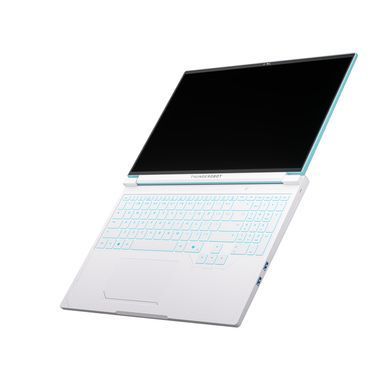 Ноутбук Thunderobot RS16 (RS16-I9139HX56E1Q240ARC) [717337]