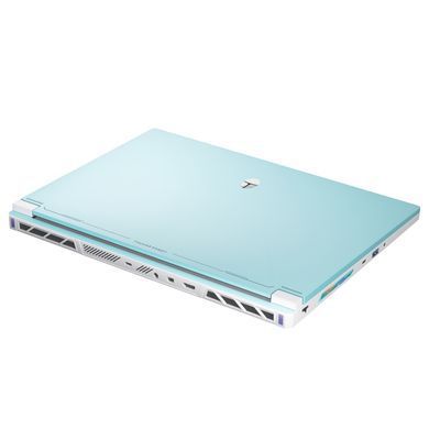 Ноутбук Thunderobot RS16 (RS16-I9139HX56E1Q240ARC) [717337]