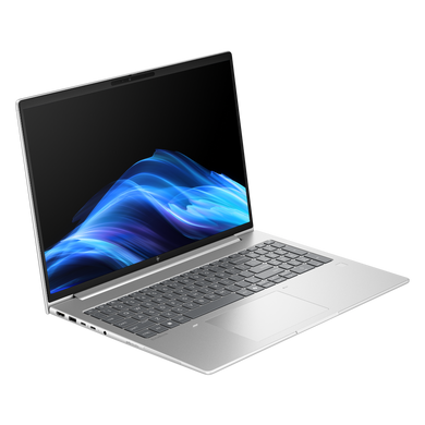 Ноутбук HP EliteBook 6 G1a (BD5P5AW) [306383]
