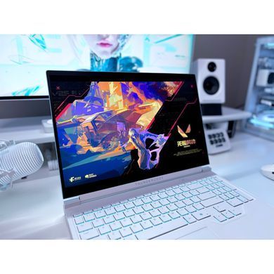Ноутбук Thunderobot RS16 (RS16-I9139HX56E1Q240ARC) [717337]