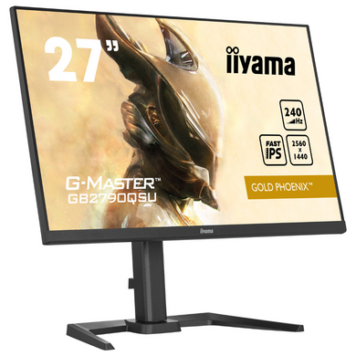 Монітор IIYAMA (GB2790QSU-B5) [300538]