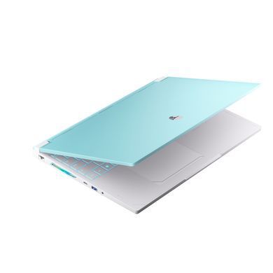 Ноутбук Thunderobot RS16 (RS16-I9139HX56E1Q240ARC) [717337]