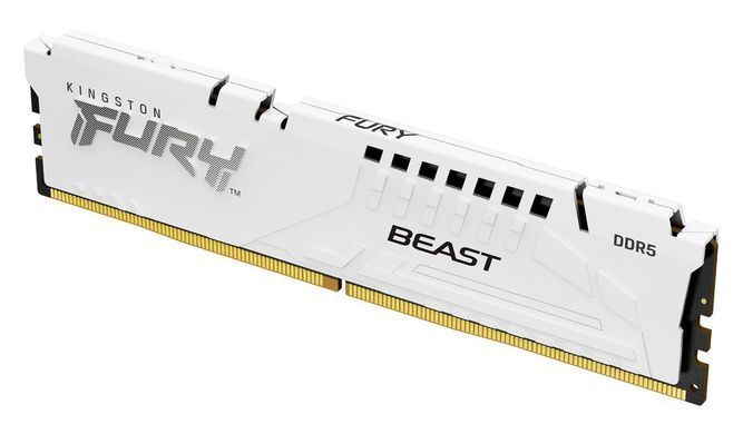 Пам'ять ПК Kingston DDR5 16GB 6800 FURY Beast FURY Beast White EXPO (KF568C34BBE-16) [114581]