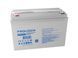 Акумуляторна батарея Prologix 12V 100AH GEL (PL12-100GEL) [618765], фото 2