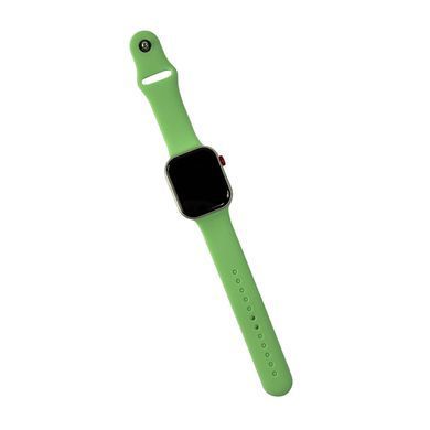 Смарт-годинник Fendior Z03 Pro 49mm. 200 mAh. IP65 Mint (Z03PMint) [802708]