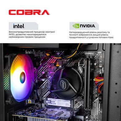 Персональний комп`ютер COBRA Advanced (I121F.32.H1S2.35.25078) [616140]