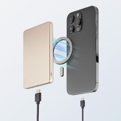 Портативний зарядний пристрій USB 5000MAH MAG CHAMPAGNE MW5000 INTENSO (7344021) [503419]