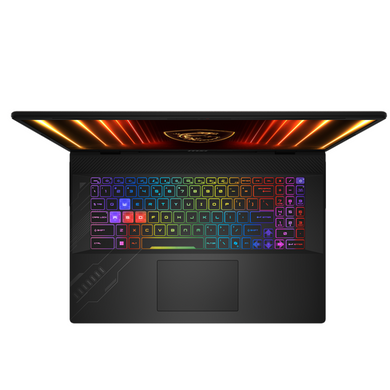 Ноутбук MSI Crosshair A17 HX D8WGKG-022XUA (9S7-17TL23-022) [304140]