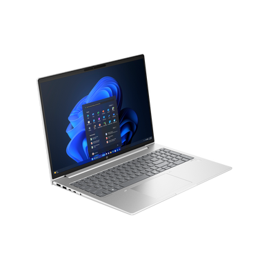 Ноутбук HP ProBook 460 G11 (AD1X2ET) [300429]