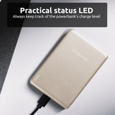 Портативний зарядний пристрій USB 5000MAH MAG CHAMPAGNE MW5000 INTENSO (7344021) [503419]