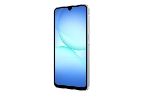 Смартфон Samsung Galaxy A17 SM-A175 4/128GB Gray (SM-A175FZABEUC) [613594]