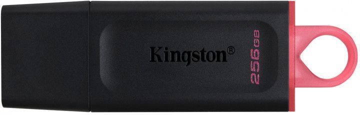Флеш пам'ять KINGSTON (DTX/256GB) [302670]