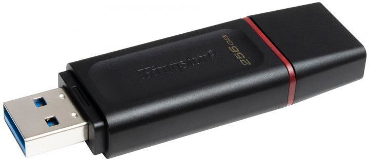 Флеш пам'ять KINGSTON (DTX/256GB) [302670]