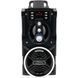 Акустична система 1.0 Media-Tech 18W, Bluetooth/FM/AUX/SD/USB/КАРАОКЕ чорна (MT3150) [404770], фото 1