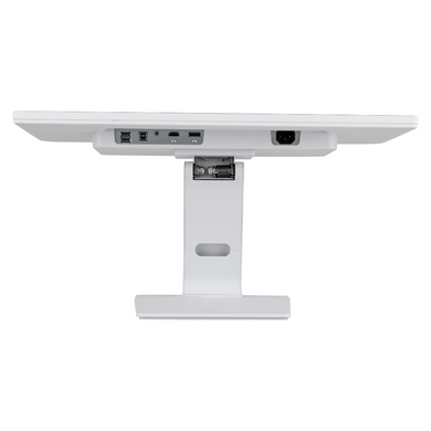 Монітор IIYAMA (T2452MSC-W1) [301157]