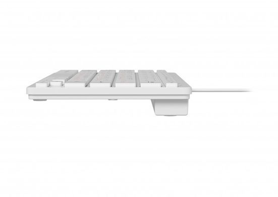 Клавiатура Maxxter White (KBM-C01W-UA) [609372]