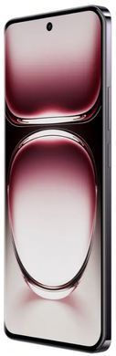 Смартфон OPPO Reno12 12/256GB Black Brown (CPH2625) [200227]