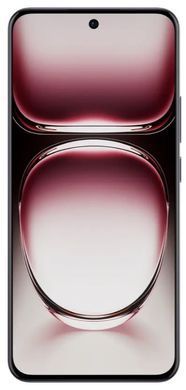 Смартфон OPPO Reno12 12/256GB Black Brown (CPH2625) [200227]