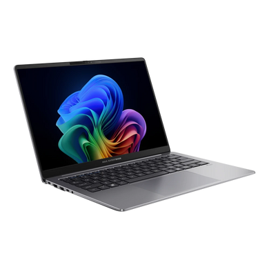 Ноутбук ASUS P5405CSA-NZ0434X (90NX0861-M00K30) [300330]