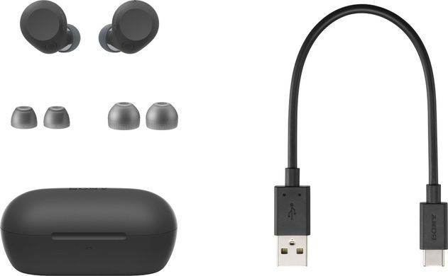 Навушники TWS Sony WF-C710N BT 5.3, ANC, IPX4, SBC, AAC, Mic, Чорний (WFC710NB.E) [107511]