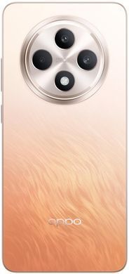 Смартфон OPPO Reno12 F 4G 8/512GB Amber Orange (CPH2687) [200232]