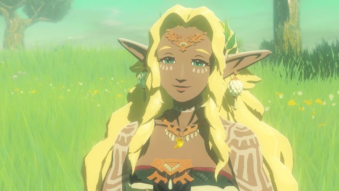 Гра консольна Switch 2 HYRULE WARRIORS AGE OF IMPRISONMENT, картридж (0045496313500) [113595]