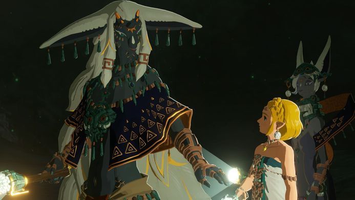 Гра консольна Switch 2 HYRULE WARRIORS AGE OF IMPRISONMENT, картридж (0045496313500) [113595]