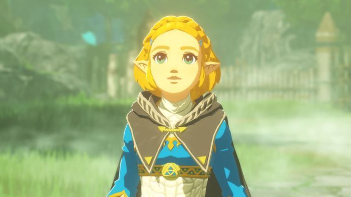 Гра консольна Switch 2 HYRULE WARRIORS AGE OF IMPRISONMENT, картридж (0045496313500) [113595]