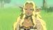 Гра консольна Switch 2 HYRULE WARRIORS AGE OF IMPRISONMENT, картридж (0045496313500) [113595], фото 20