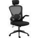 Крісло ігрове Sandberg ErgoFusion Gaming Chair Basic, чорне (640-97) [401675], фото 2
