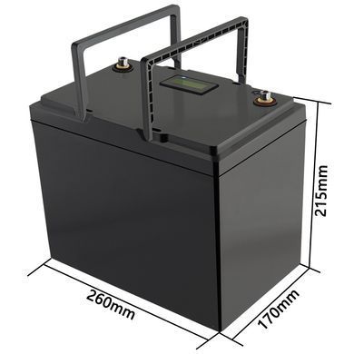 Акумуляторна батарея LiitoKala LiFePO4 12V100Ah, LCD (12V100Ah LiFePO4 LCD) [404116]