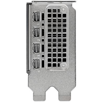 Відеокарта NVIDIA RTX 2000 Ada HP 16GB 4mDP (8D6B8AA) [403597]
