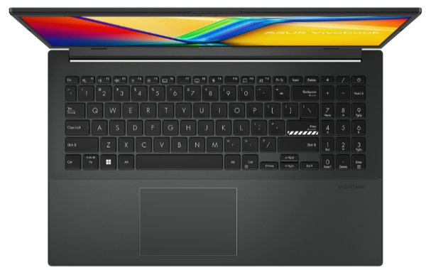 Ноутбук Asus Vivobook Go 15 E1504FA-BQ210 (90NB0ZR2-M00950) Mixed Black