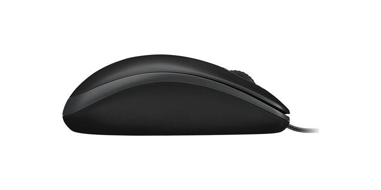 Комплект (клавіатура, мишка) Logitech MK120 Black USB (920-002563) [500075]