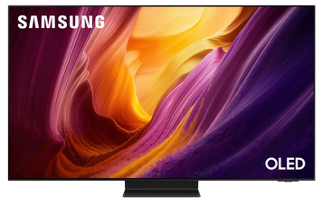 LED-телевізор Samsung (QE65S95HFUXUA) [204725]
