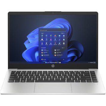 Ноутбук HP 245 G10 (AD1Y0ET) [302502]