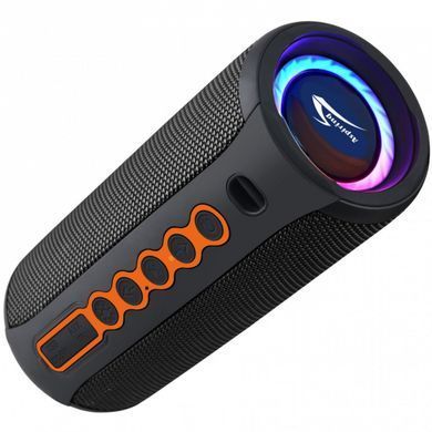 Акустична система 1.0 Aspiring Shake 20, TWS 40W, Bluetooth/FM, чорна (SH20TWS40) [404775]