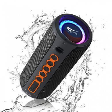 Акустична система 1.0 Aspiring Shake 20, TWS 40W, Bluetooth/FM, чорна (SH20TWS40) [404775]