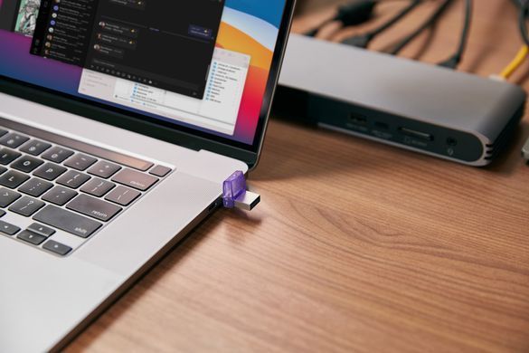 Флеш-накопичувач USB3.2 256GB Type-C Kingston DataTraveler microDuo 3C (DTDUO3CG3/256GB) [607274]