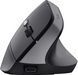 Миша Trust Bayo 2 Ergonomic, WL/USB-A, чорний (25145_TRUST) [104117], фото 6