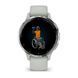 Смарт-годинник Garmin Venu 3s Silver Stainless Steel Bezel with Sage Gray Case and Silicone Band (010-02785-51) [604510], фото 5